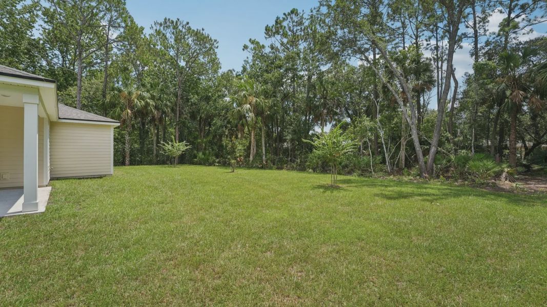Expansive lawn in Palm Coast offers outdoor living. Enjoy tranquility amidst a lush, verdant backdrop.