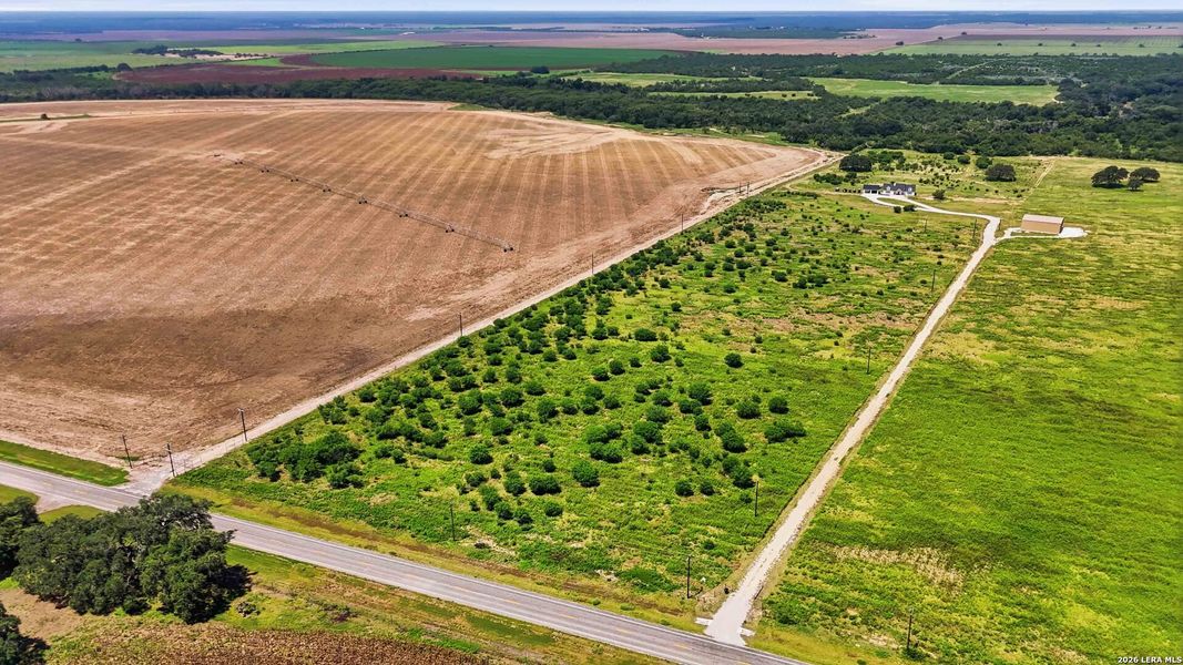 Site preparation for new homesites in , Sabinal (Image 53).
