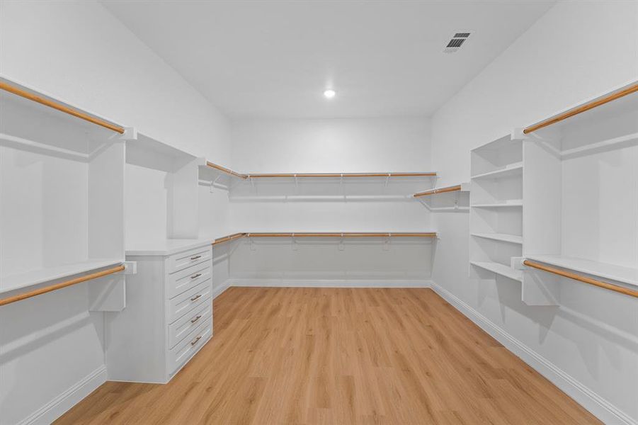 Spacious closet with light wood-style flooring