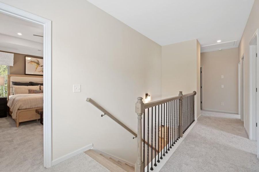 Spacious, unfurnished interior of a new home in Kingston Park, Kingston (Image 21).