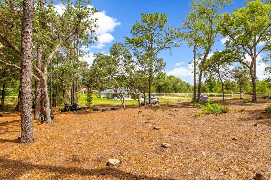 Natural landscape and outdoor views near  in Ocala (Image 41).