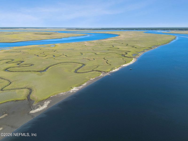 Natural landscape and outdoor views near  in Jacksonville (Image 17).