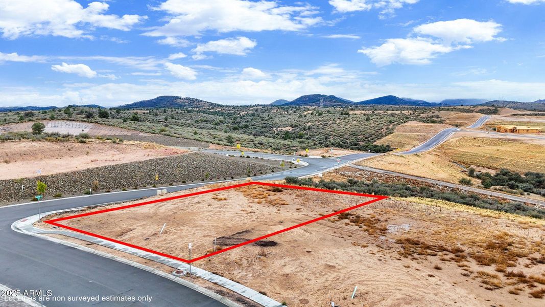 1-Aerial (1) Lot Lines 1-Aerial (1) Lot Lines