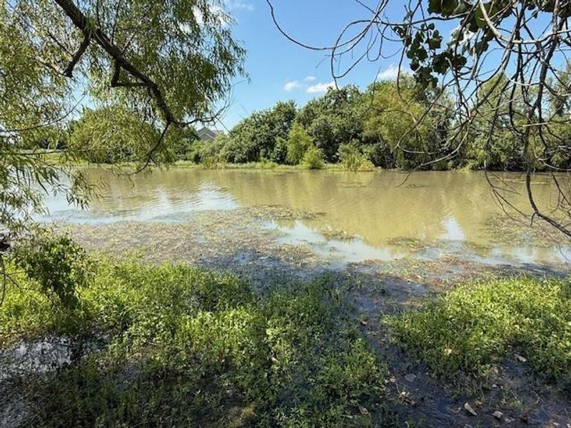 Natural landscape and outdoor views near  in Rosharon (Image 10).