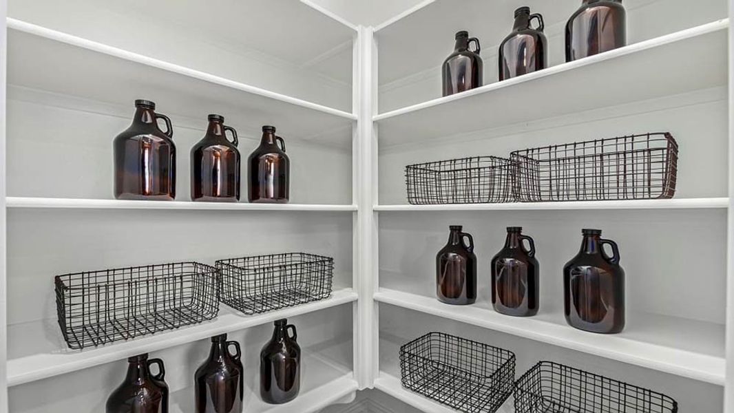 Image 39 representing the Paisley by Taylor Morrison in Paradisi Discovery Collection, Surprise, AZ.