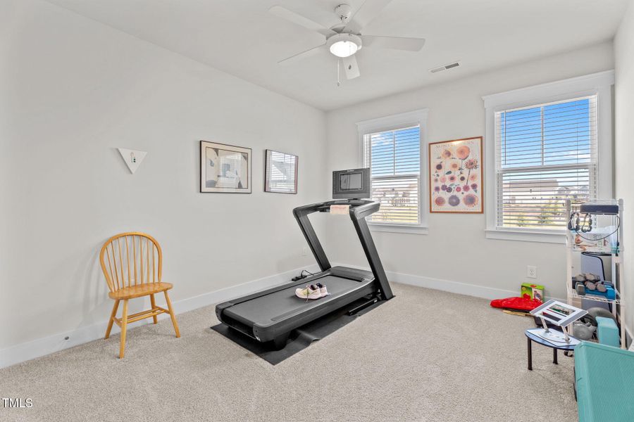 1753 Birdhaven- exercise 1