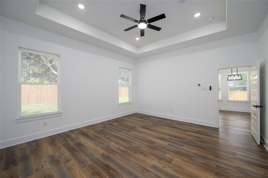 Unfurnished room featuring dark wood-type flooring, a healthy amount of sunlight, and a raised ceiling