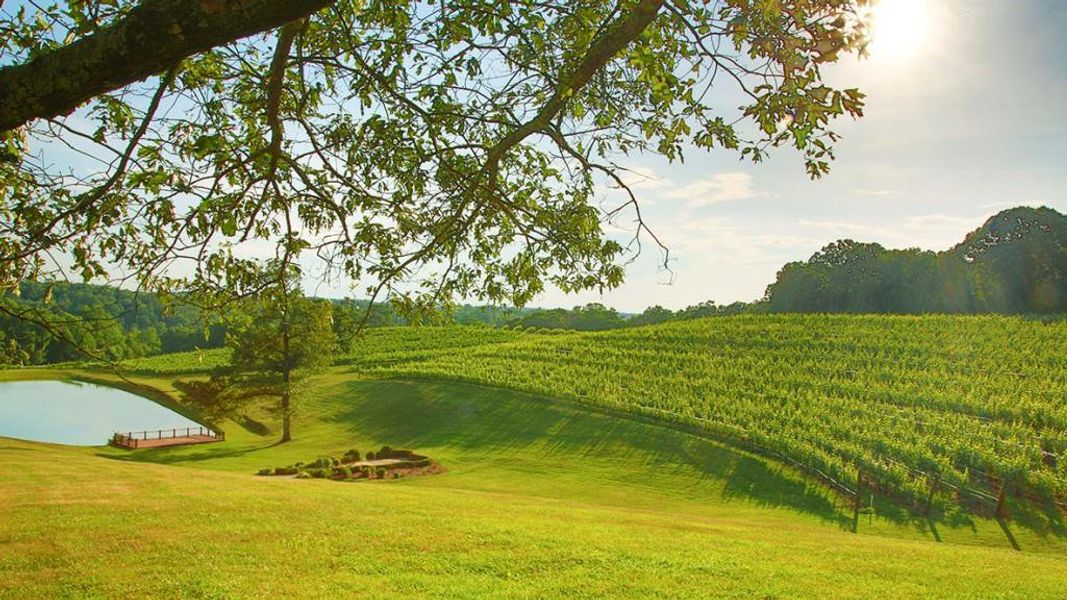 Natural landscape and outdoor views near Mountain Park in Dahlonega (Image 38).