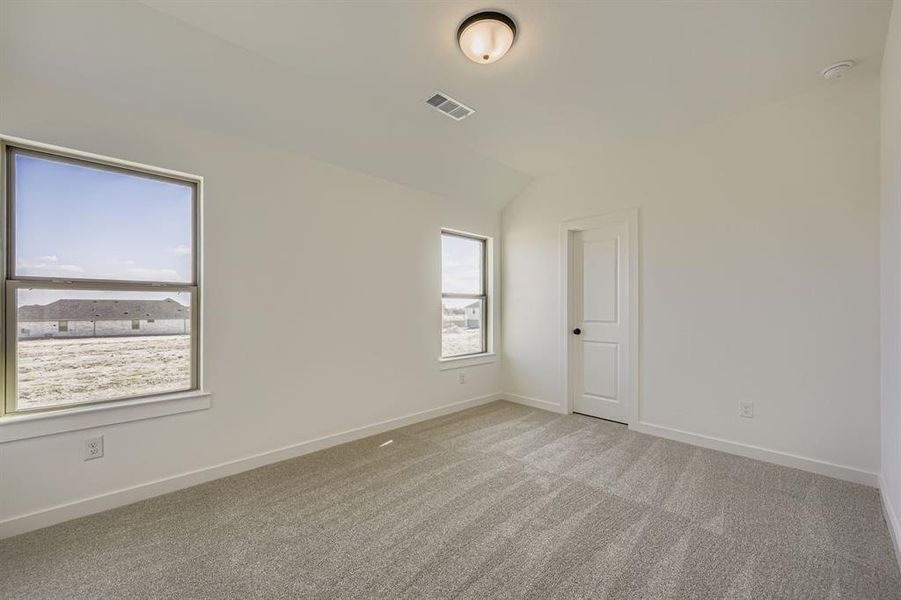 Spare room with carpet and vaulted ceiling