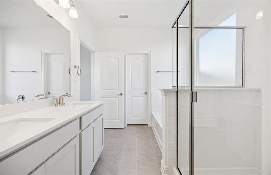 Spacious owner's bath with ample cabinet storage