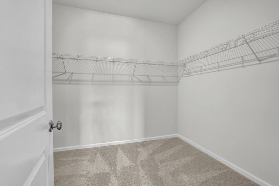Spacious, unfurnished interior of a new home in River Tide Farms, Bolivia (Image 18).