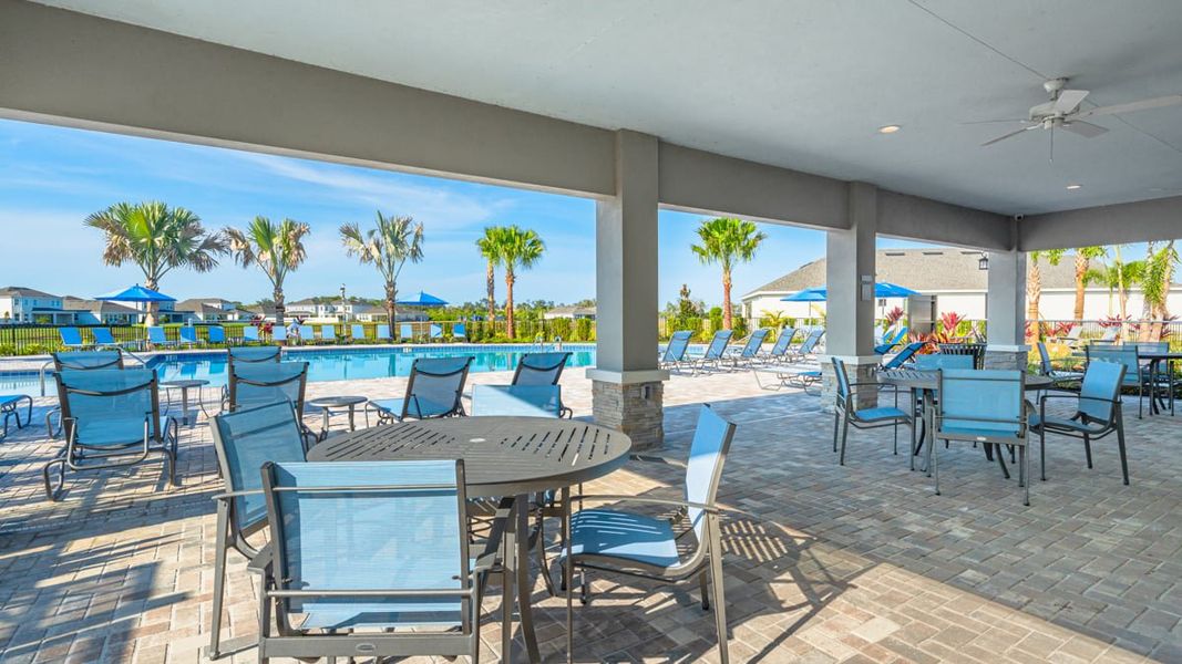 Community amenities in Indigo Creek, Apollo Beach (Image 9).