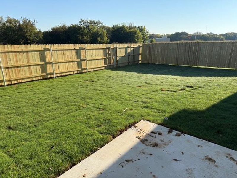 Large wood privacy fenced back yard Large wood privacy fenced back yard