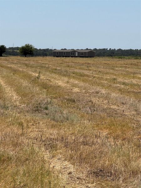 An expansive open pasture stretches toward a distant residence set against a wooded tree line.