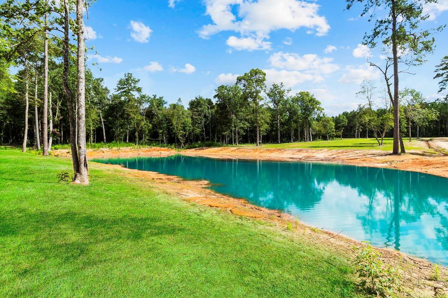 Natural landscape and outdoor views near  in Livingston (Image 30).