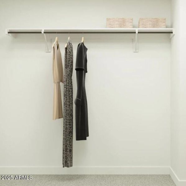 Owner's Walk in Closet