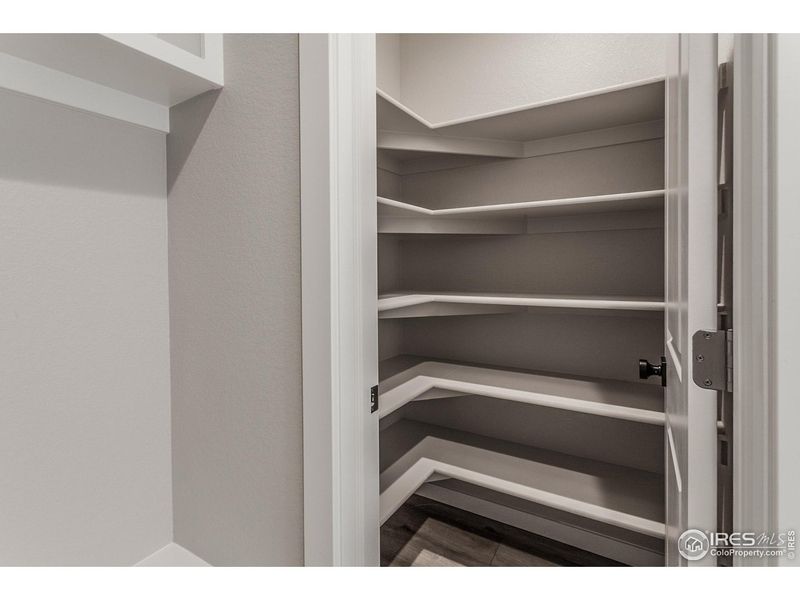 Close-up of interior finishes inside a home in Promontory Point, Greeley (Image 19).