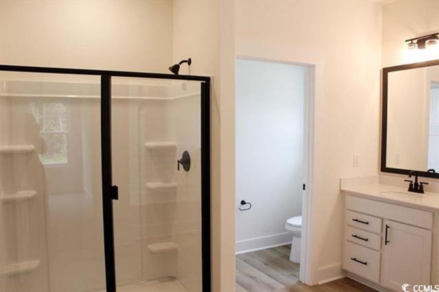 Bathroom featuring a shower stall, vanity, and light wood-type flooring