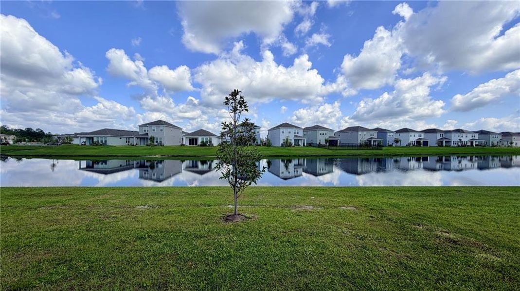 Natural landscape and outdoor views near Westview in Kissimmee (Image 34).