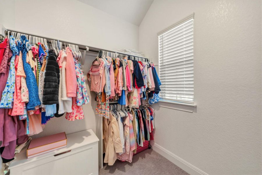 Walk-in closet featuring extensive built-in hanging rods, a window with blinds, vaulted ceiling, and neutral carpeting