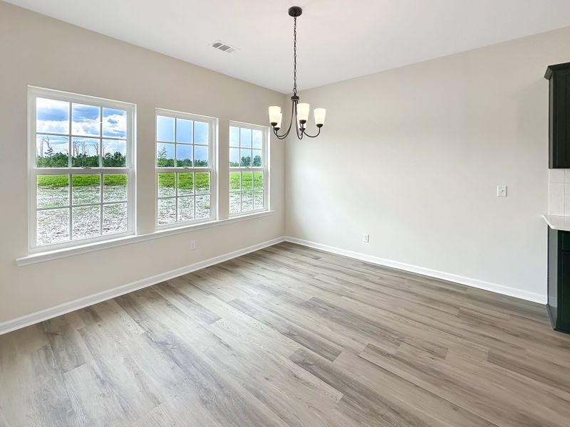 Spacious, unfurnished interior of a new home in Tibet Road at Sassafras, Allenhurst (Image 14).