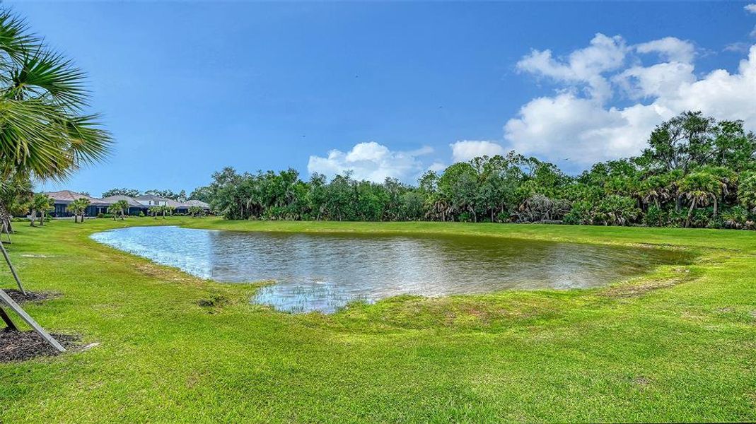 Natural landscape and outdoor views near Grand Park in Sarasota (Image 55). Natural landscape and outdoor views near Grand Park in Sarasota (Image 55).