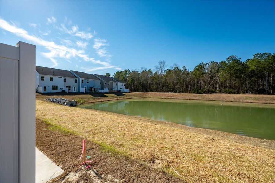Exterior details and patio area of a home in The Landings at Montague, Goose Creek (Image 27).