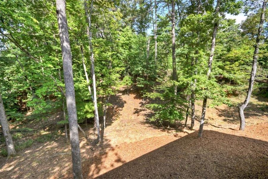 Natural landscape and outdoor views near  in Ellijay (Image 20).
