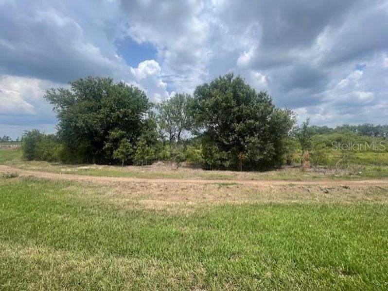 Natural landscape and outdoor views near Del Webb Catalina in Lakewood Ranch (Image 5).