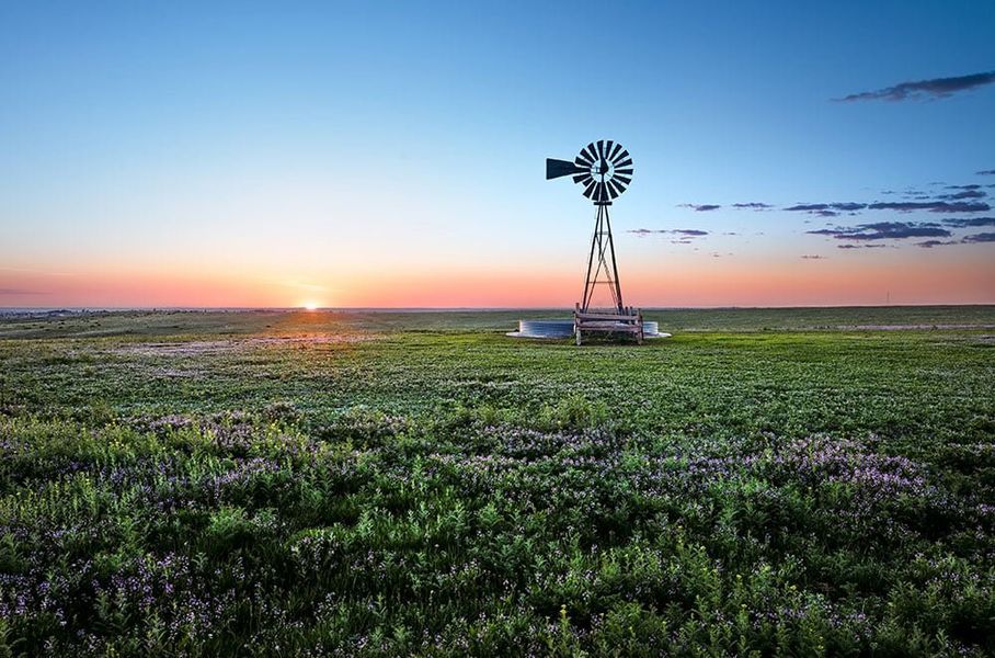 Natural landscape and outdoor views near The Town Collection at Independence in Elizabeth (Image 29).