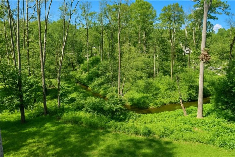 Natural landscape and outdoor views near in Atlanta (Image 28). Natural landscape and outdoor views near in Atlanta (Image 28).