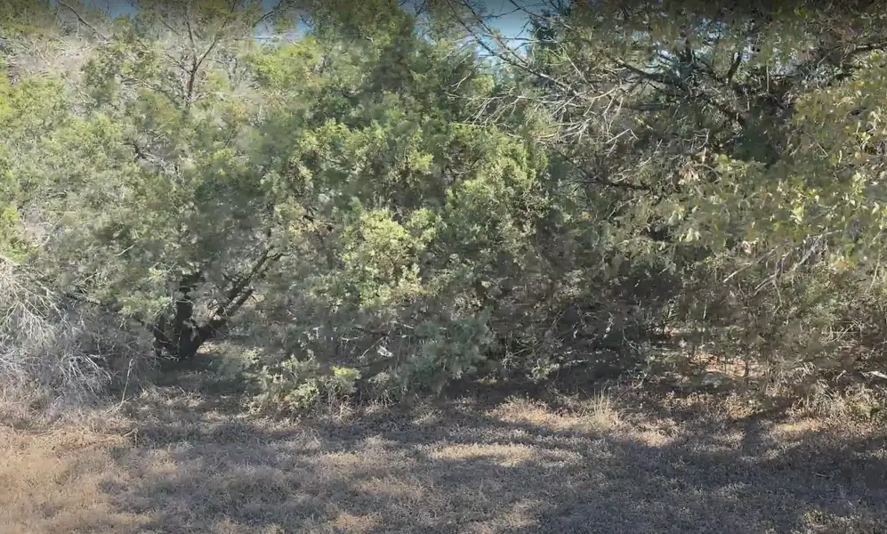 2 acres, oaks and cedars, quiet with wildlife 2 acres, oaks and cedars, quiet with wildlife