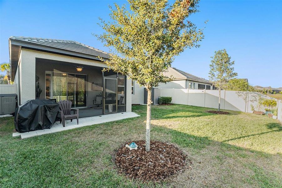 Exterior details and patio area of a home in Angeline Active Adult: Active Adult Manors, Land O' Lakes (Image 22).
