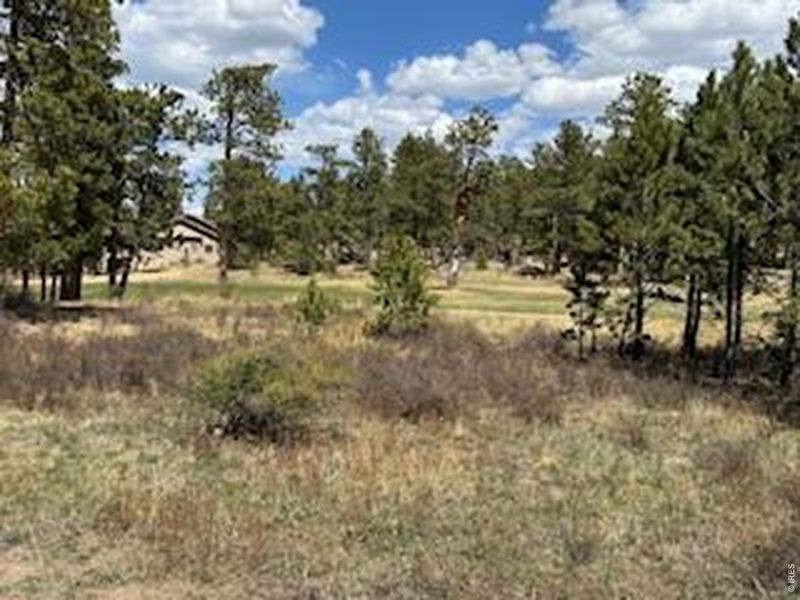 Natural landscape and outdoor views near  in Red Feather Lakes (Image 14).