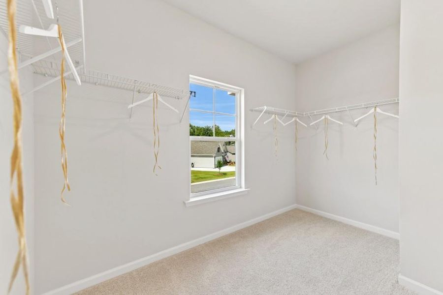 Spacious, unfurnished interior of a new home in , Homer (Image 22).