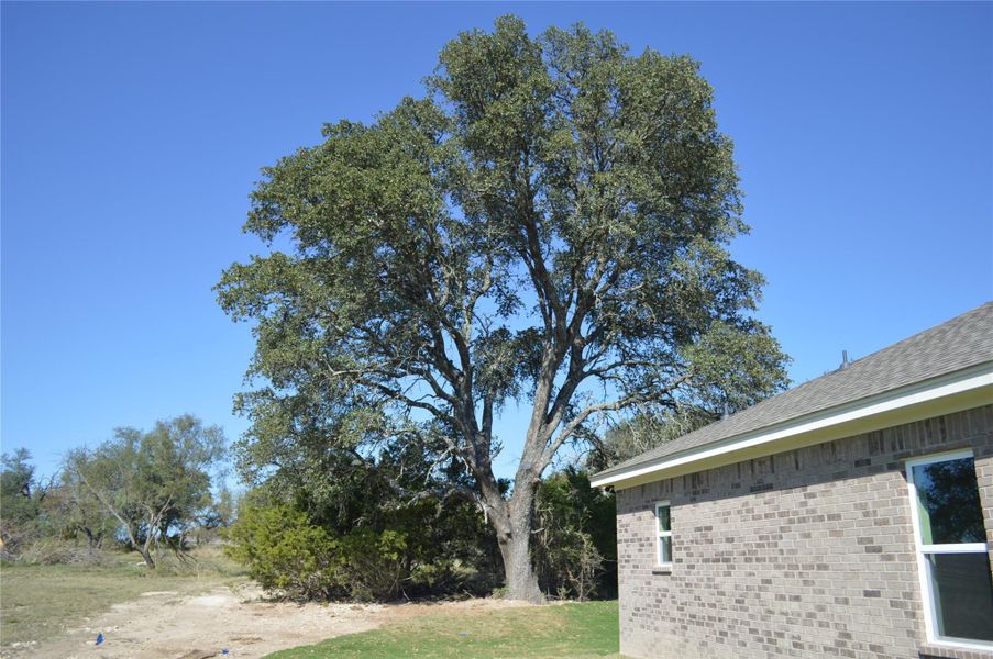 View of yard View of yard