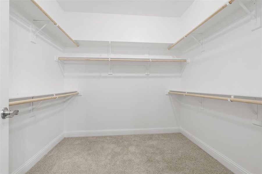 Spacious closet with carpet