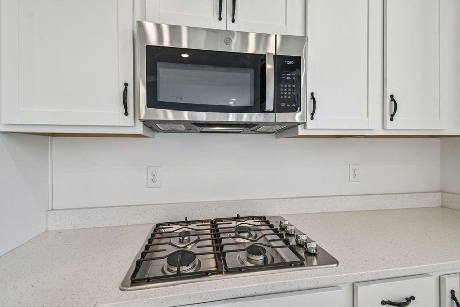 Representative interior finishes for a home built from the 50 ' - Saratoga by William Ryan Homes in Tamarack at Two Rivers, Zephyrhills (Image 21).