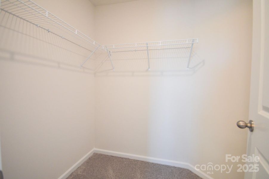 Photos are representative