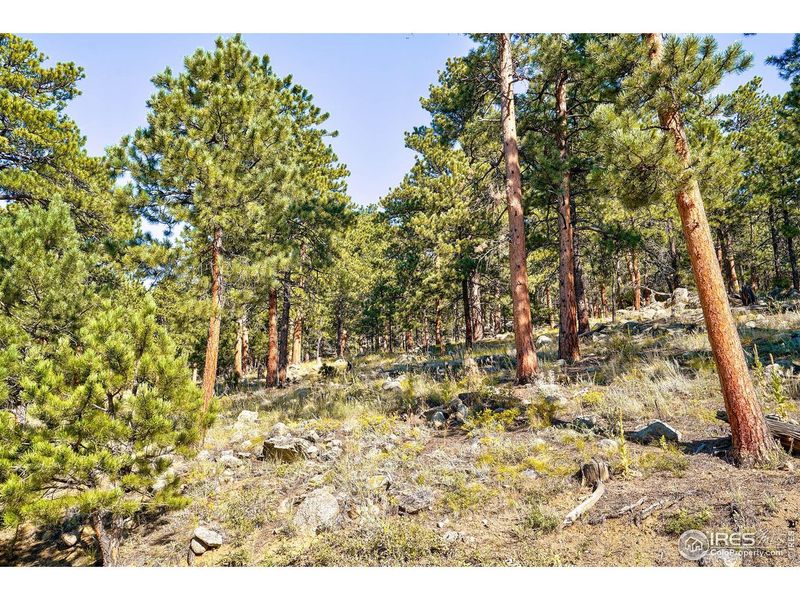 Natural landscape and outdoor views near in Boulder (Image 13). Natural landscape and outdoor views near in Boulder (Image 13).