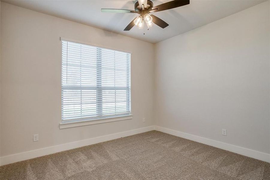 Unfurnished room featuring ceiling fan and carpet