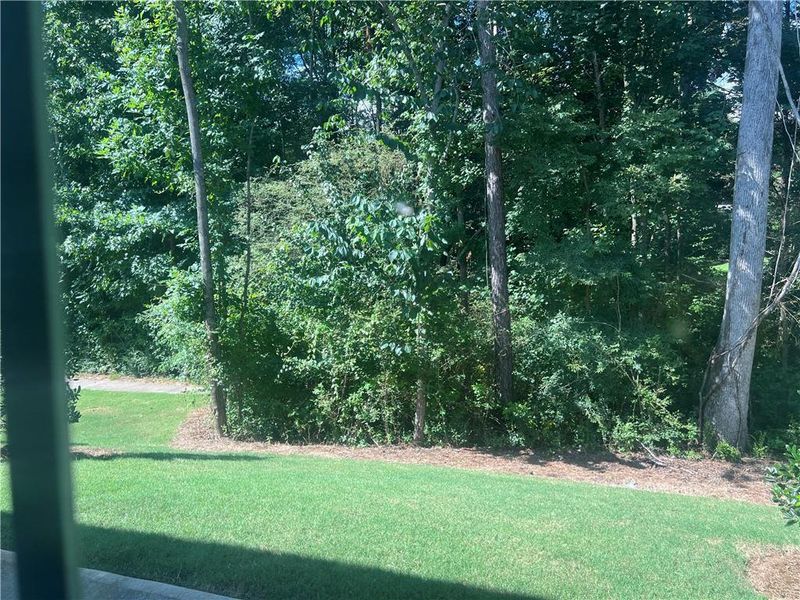 Natural landscape and outdoor views near in Newnan (Image 17). Natural landscape and outdoor views near in Newnan (Image 17).