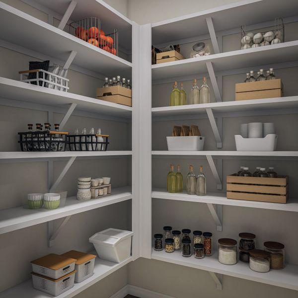 Representative interior finishes for a home built from the Spyglass by Tri Pointe Homes in Flora, Hutto (Image 22).