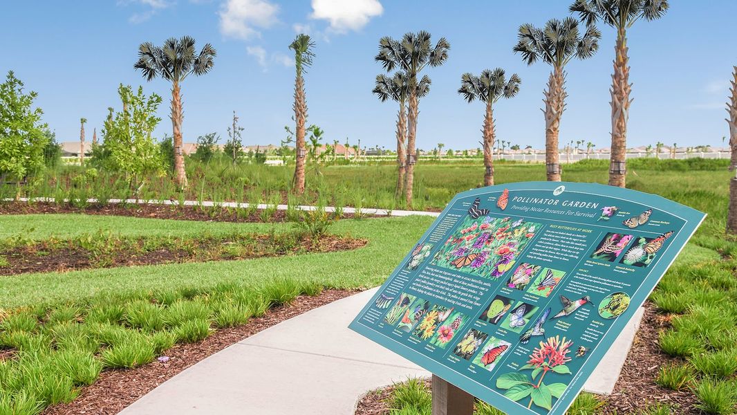 Community amenities in Esplanade at Tradition, Port St. Lucie (Image 32). Community amenities in Esplanade at Tradition, Port St. Lucie (Image 32).