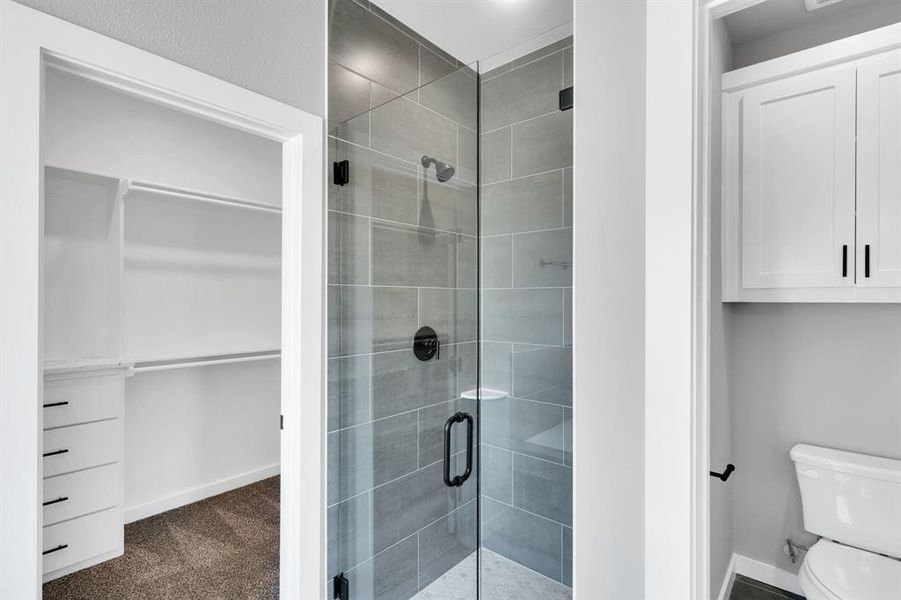 Furnished interior view inside a new home in , Palmer (Image 3).