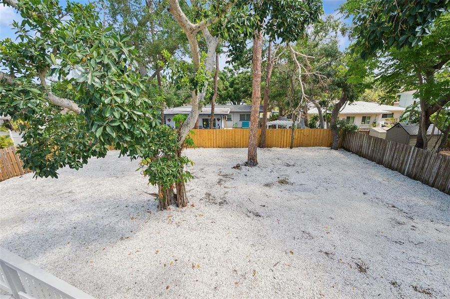 Natural landscape and outdoor views near  in Sarasota (Image 26).