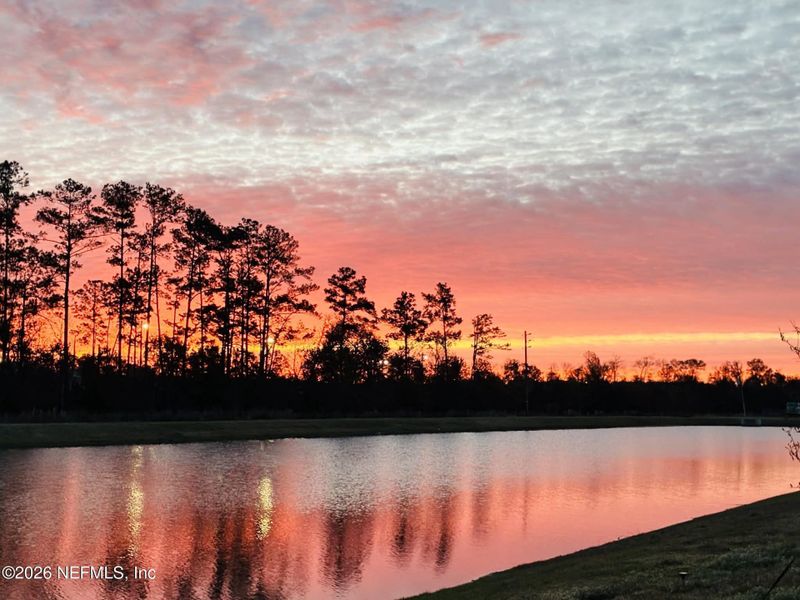 Natural landscape and outdoor views near  in Jacksonville (Image 33).