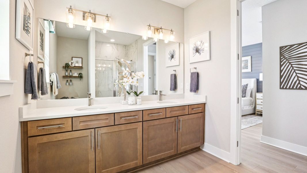 The Primary Bathroom The Primary Bathroom