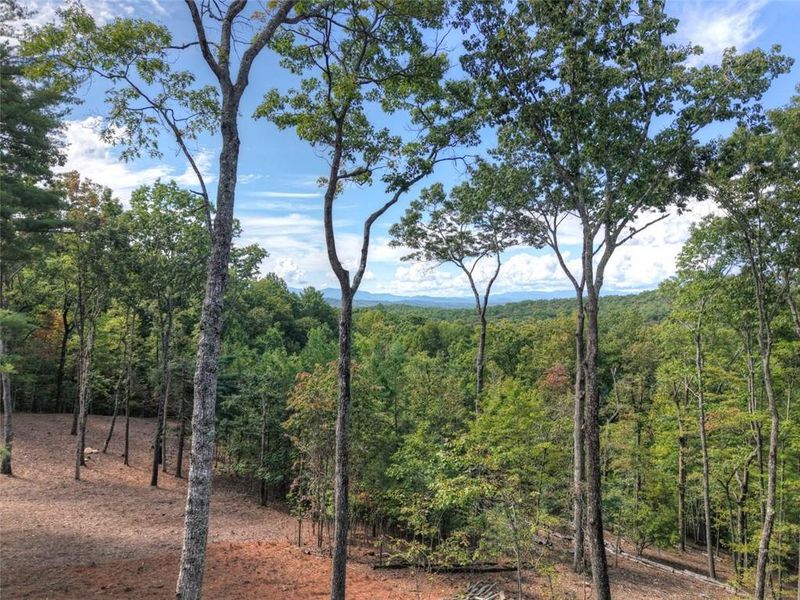Natural landscape and outdoor views near  in Morganton (Image 50).