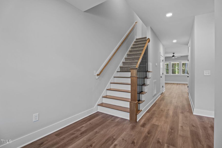 46-web-or-mls-DSC08741 46-web-or-mls-DSC08741